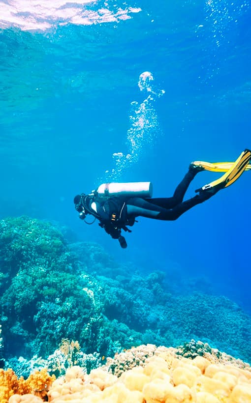 The Heart of Europe - Marbella Resort Hotel, Vignette Collection amenity Unique Coral Reef Diving Experience - World of Islands, Dubai - by THOE