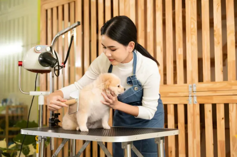The Row Saadiyat amenity Pet Spa and Grooming - Abu Dhabi, Dubai - by ALDAR