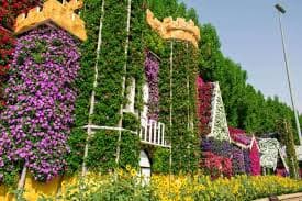Urban Life amenity Open Gardens - Business Bay, Dubai - by Urban Properties Development (UPD)
