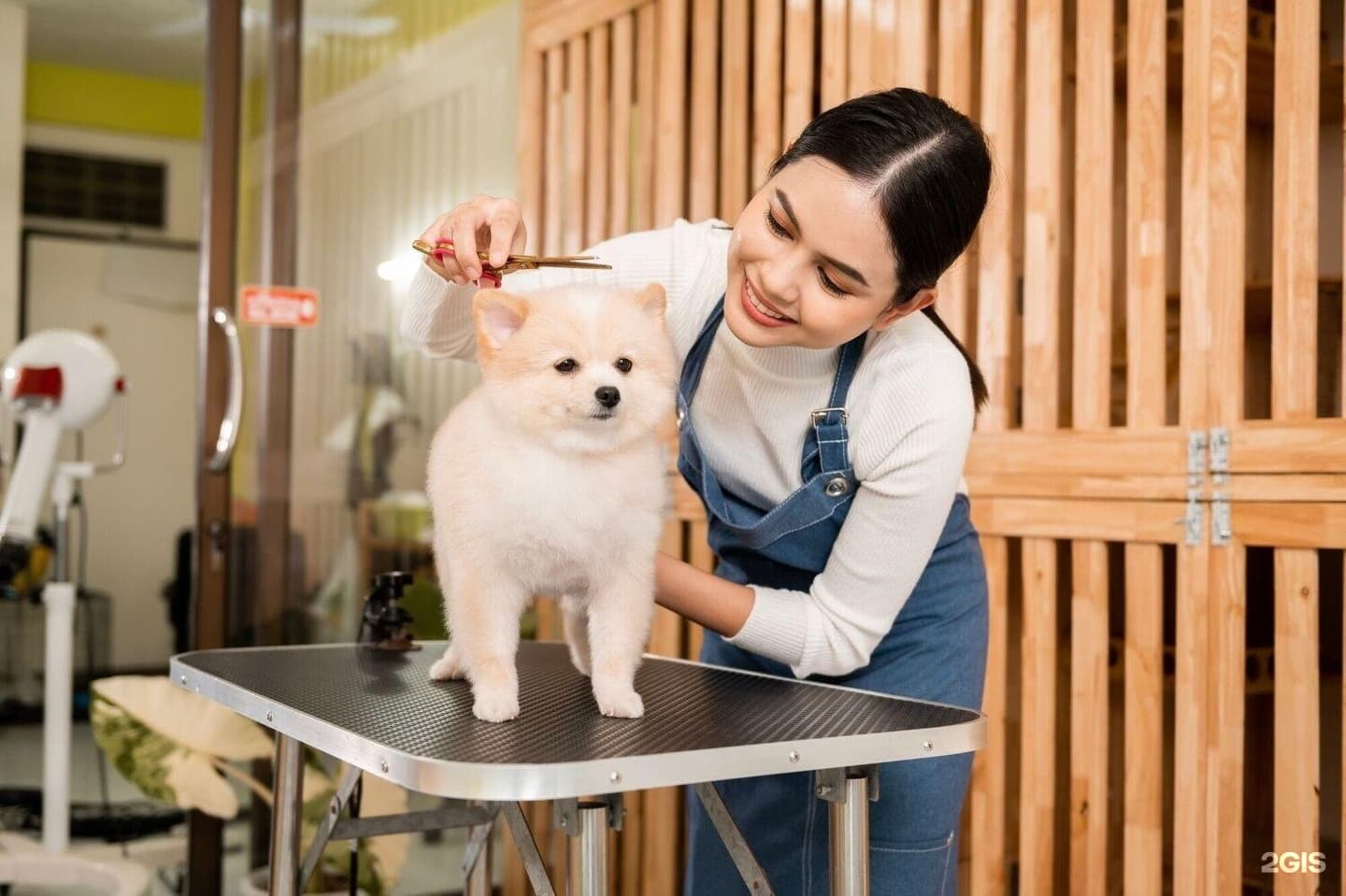 Waldorf Astoria Residences amenity Pet Grooming Spa - Al Jazeera Al Hamra, Dubai - by Al Hamra