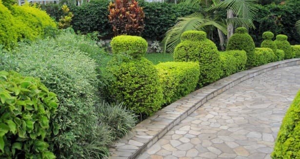 Zazen Gardens amenity Lush Landscaping - Jebel Ali Village, Dubai - by ZāZEN Properties